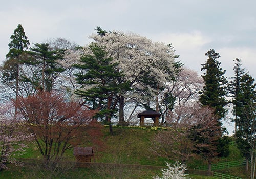 口内町の人口