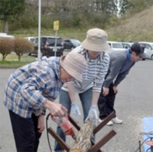 なめこ植菌体験