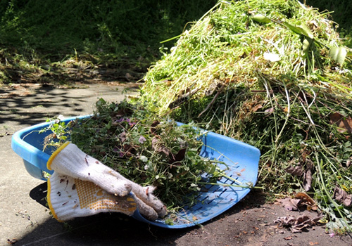 除草作業イメージ