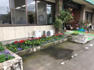 花いっぱい運動で育てた花