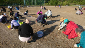 口内小除草作業