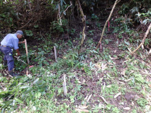 明神岳登山道整備