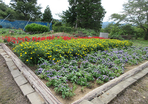 口内３区公民館の花壇