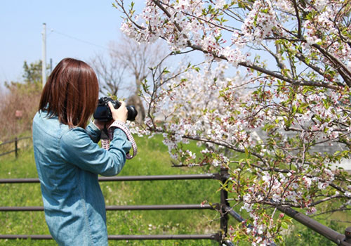 口内町フォトコンテスト開催中