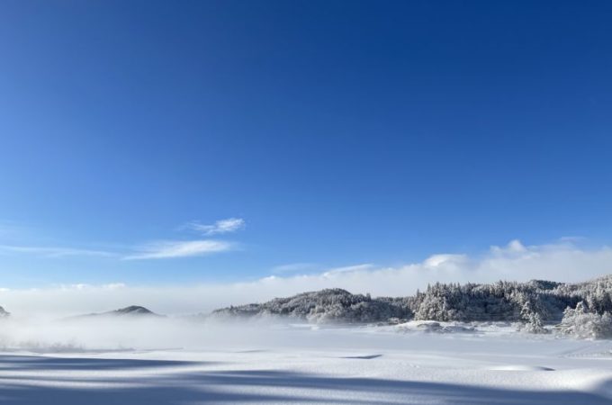 カメラ部門　最優秀賞