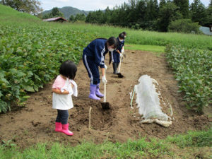 農業体験