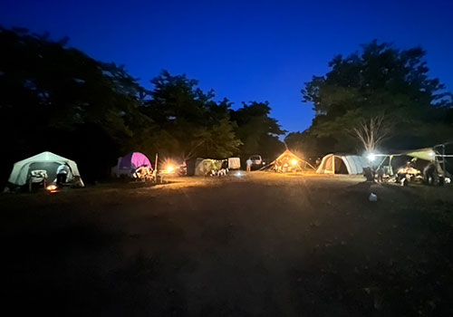 キャンプ開催